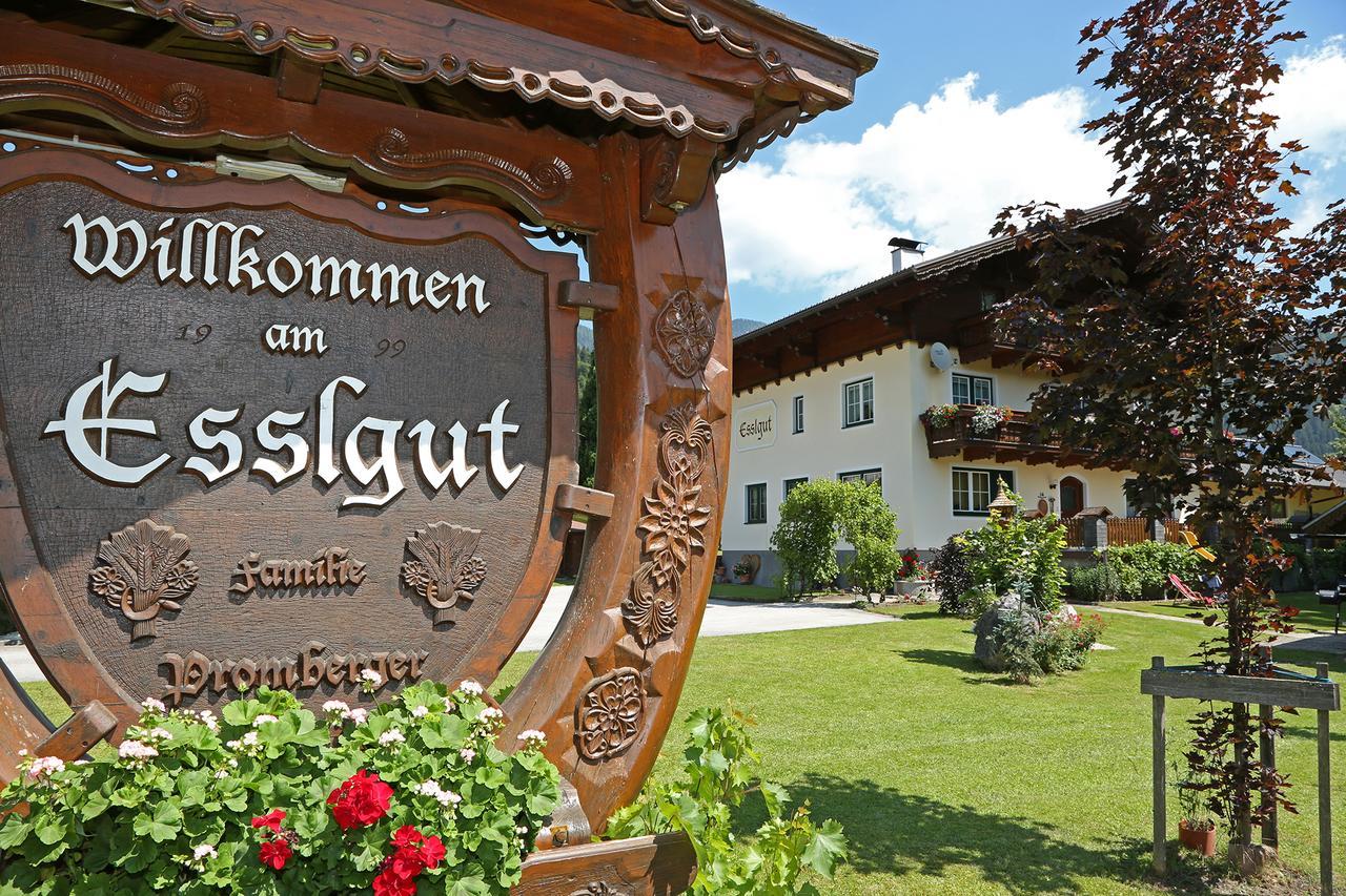 Appartments Am Esslgut Haus im Ennstal Exterior foto