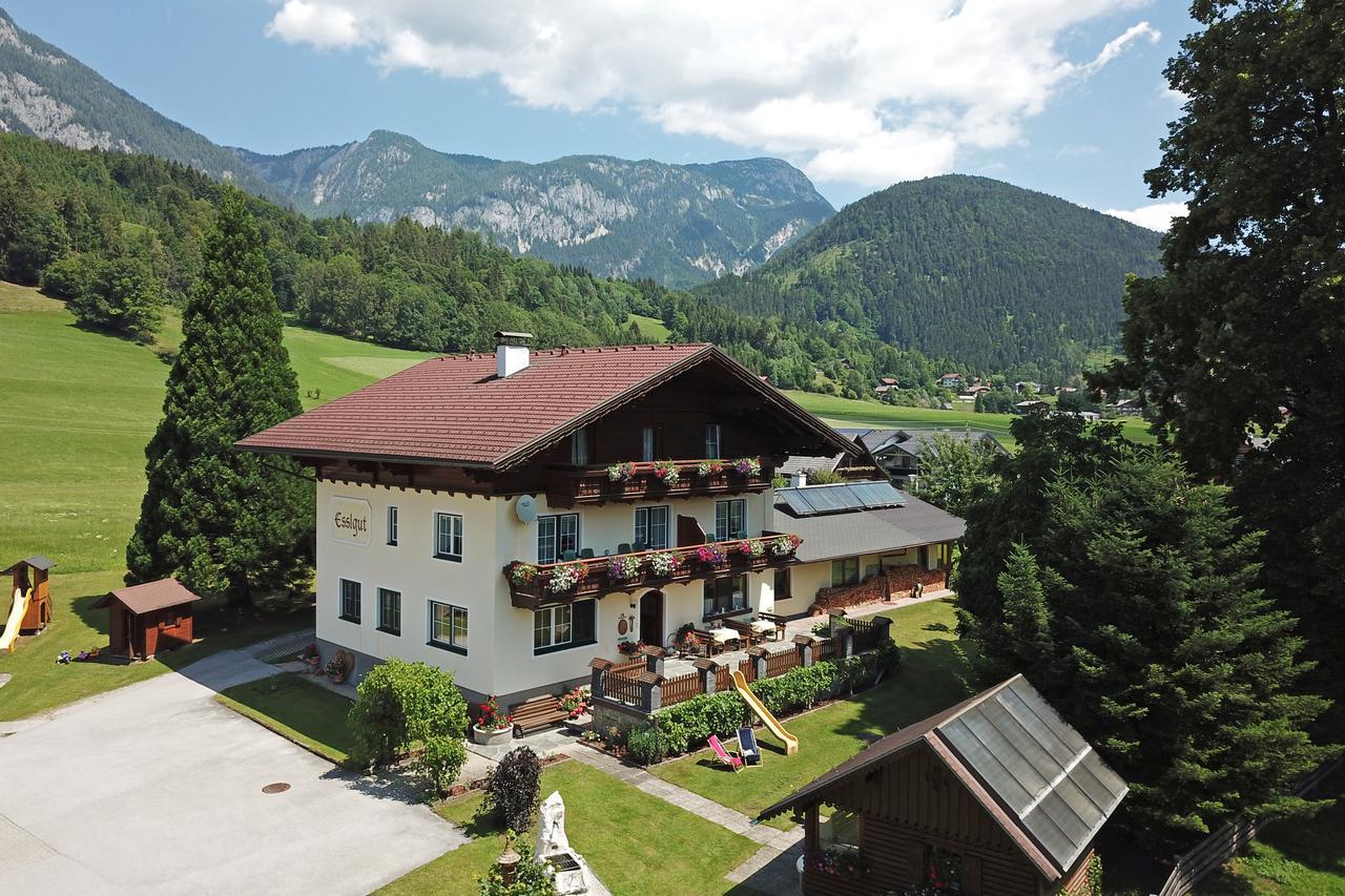 Appartments Am Esslgut Haus im Ennstal Exterior foto